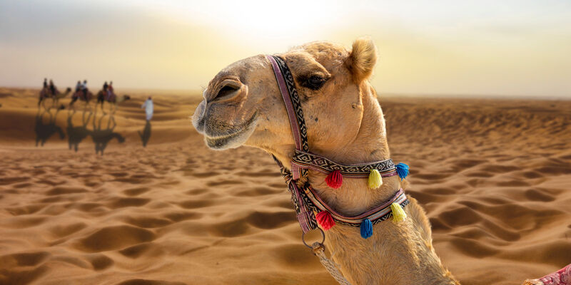  Yılbaşı Özel Dubai & Abu Dhabi - 4 Gece - İstanbul Çıkış - AirArabia Havayolları ile