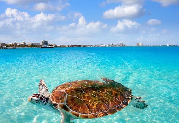 Meksika Ölüler Günü Festivali Turu Türk Havayolları ile 8 Gece - MEX-CUN