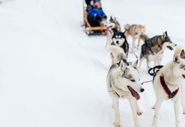 İzmir Çıkışlı Sömestre Özel Lapland Turu Kuzey Işıkları Rotası - 4 Gece - Tüm Turlar Dahil V2
