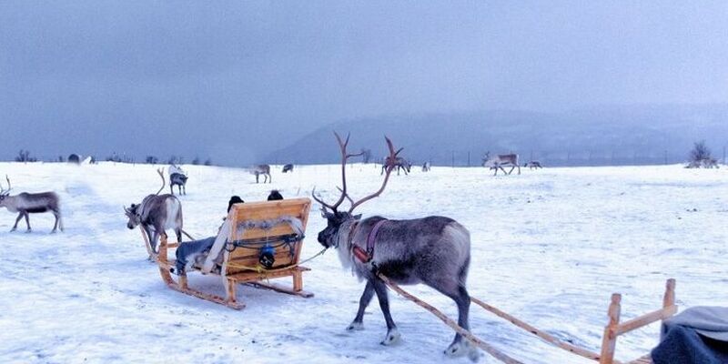 Lapland Turu Beyaz Rotalar 4 Gece