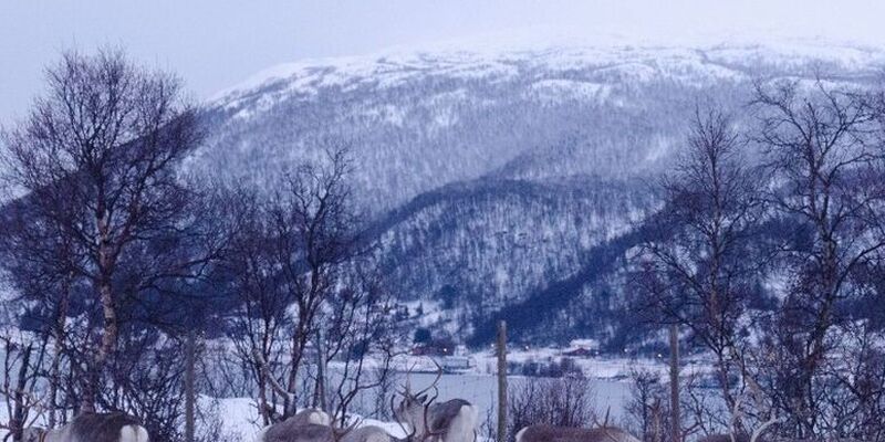 Lapland Turu Beyaz Rotalar 4 Gece