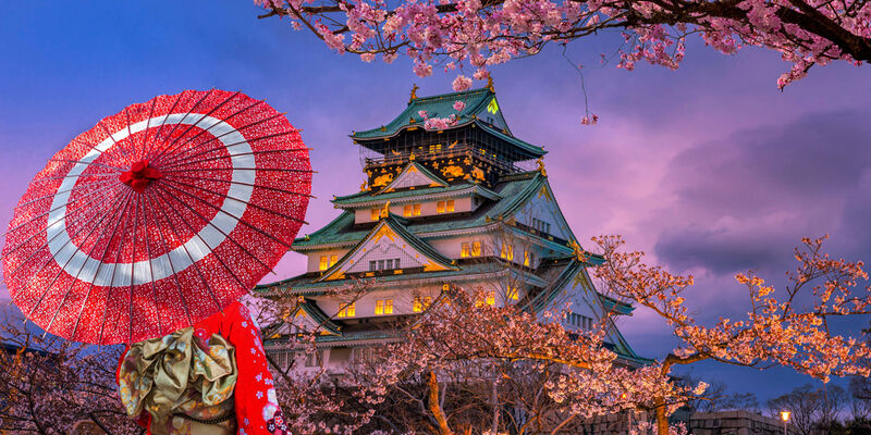 Dolu Dolu Sakura Dönemi Japonya & Kore Turu Mistik Rotalar V2