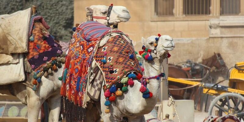 Baştanbaşa Mısır Turları Hurgada Kahire Sharm Ajet ile 7 Gece 8 Gün