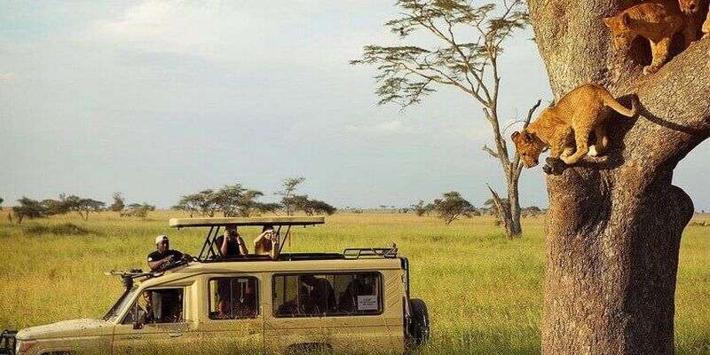 Kenya Safari Turu Air Arabia Havayolları ile Her Pazar Hareket FIT