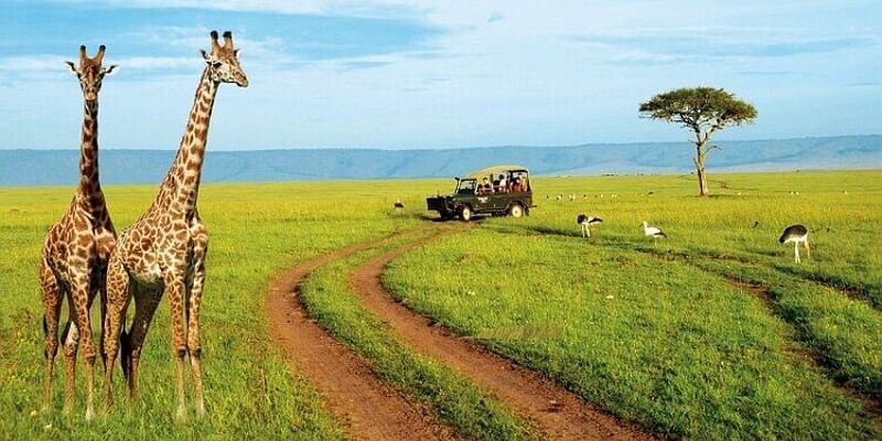 Kenya Safari Turu Air Arabia Havayolları ile Her Pazar Hareket FIT