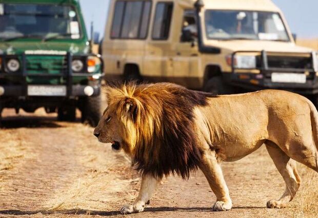 Kenya Safari Turu Air Arabia Havayolları ile Her Pazar Hareket FIT