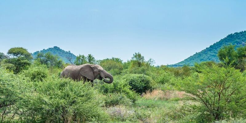 Elegant Güney Afrika Turu Türk Havayolları ile 7 Gece (CPT-JNB) 