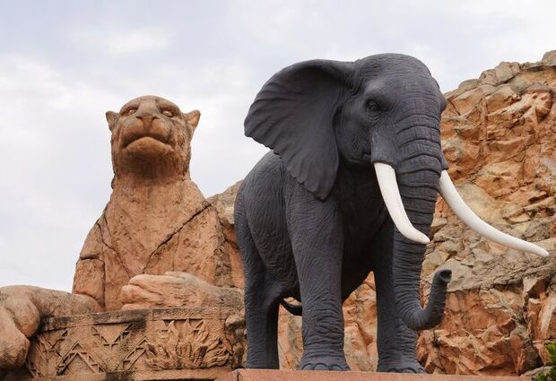 Elegant Güney Afrika Turu Türk Havayolları ile 7 Gece (CPT-JNB) 