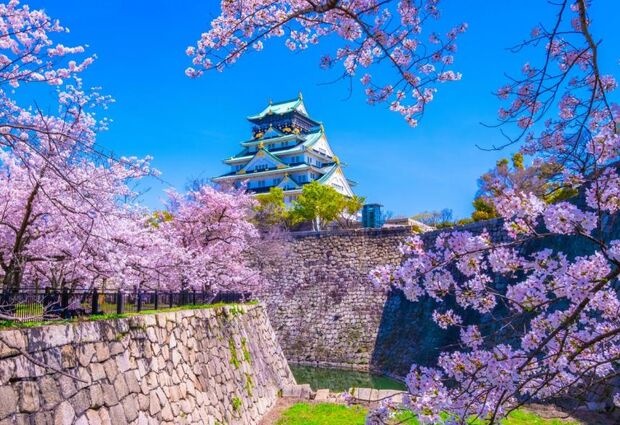 Elegant Japonya THY ile 7 Gece (KIX-NRT)