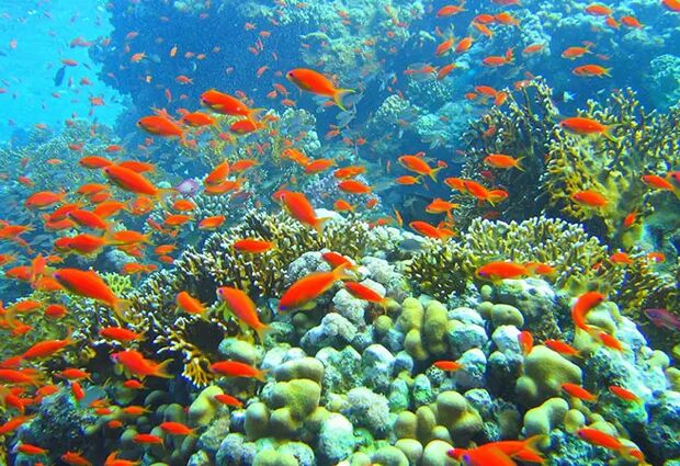 Klasik Uzak Doğu Turu Türk Havayolları ile 6 Gece