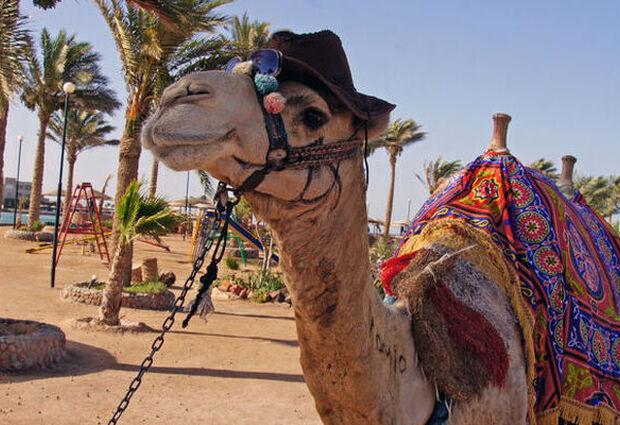 İstanbul Kalkışlı Ajet ile Hurghada Turu - 3 Gece