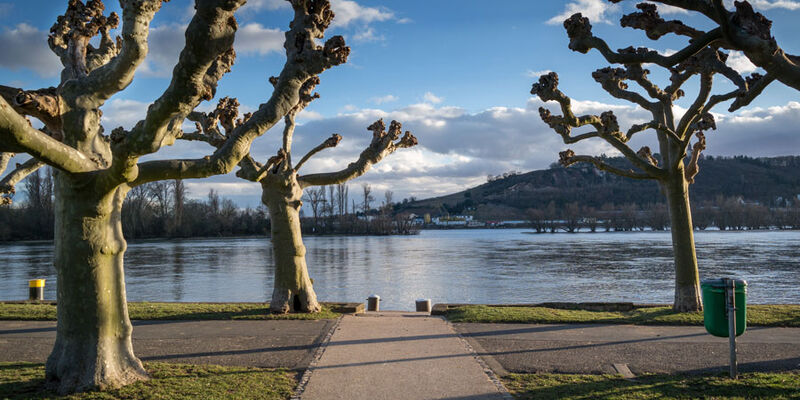 Sömestre Özel Paris Turu Türk Havayolları ile 4 Gece 5 Gün 24 Ocak Hareket