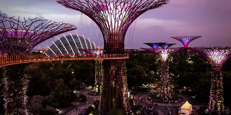 THY ve Discovery Princess İle Güneydoğu Asya & Singapur & Malezya 7 Gece 