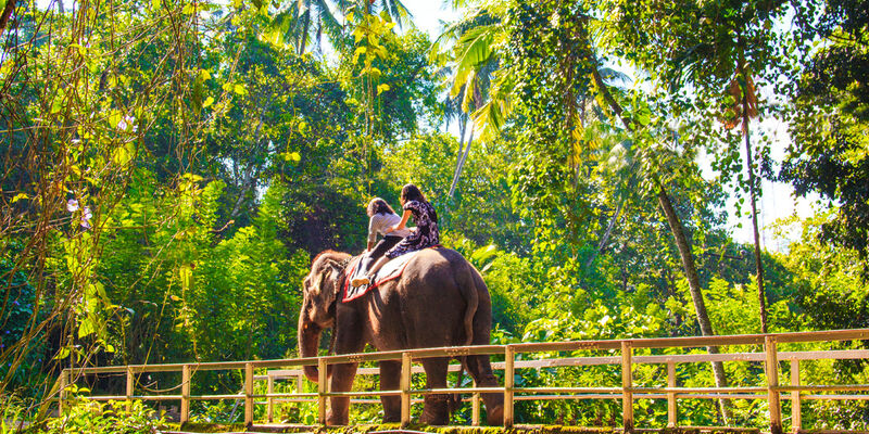 Sri Lanka Turu - 2026 - (CMB-CMB)