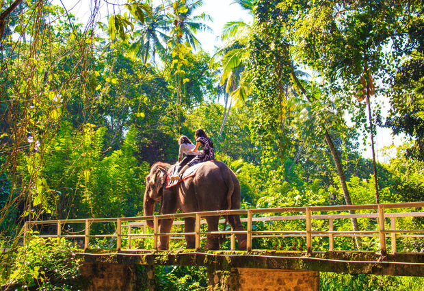 Sri Lanka Turu - 2026 - (CMB-CMB)