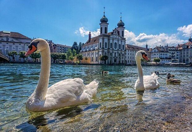 İzmir'den Direkt Sefer ile Bayram Özel Tren ve Teleferik ile Alp Dağları Turu Rotası