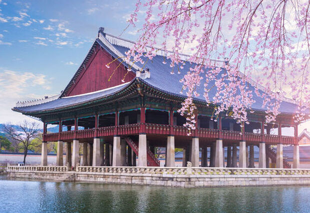 Sakura Dönemi Özel Japonya & Kore Turu Mistik Rotalar V3