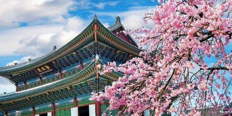 THY ve Diamond Princess İle Baştan Sona Büyük Japonya & Güney Kore 14 Gece - 21 Şubat 2026 