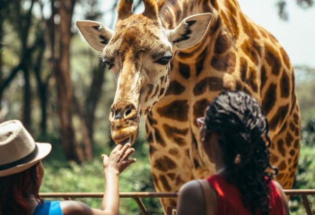 Muhteşem Güney Afrika Turu - 2026 Johannesburg - Sun City - Cape Town