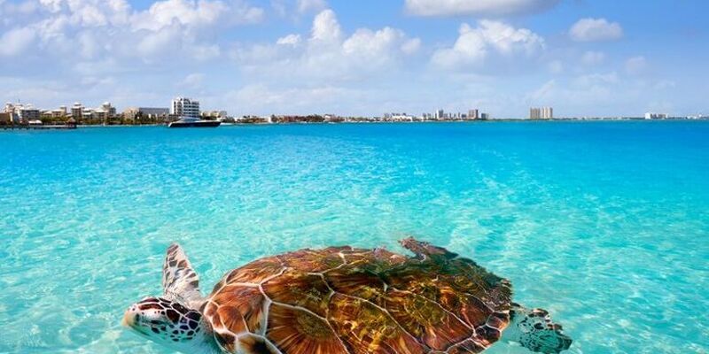 Türk Havayolları ile Meksika & Guatemala & El Salvador & Kosta Rika & Panama Turu - 14 Gün - 2026