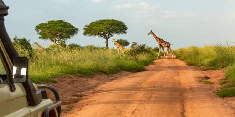 Elegant Ruanda & Uganda Turu Türk Havayolları ile 8 Gece (KGL-EBB)
