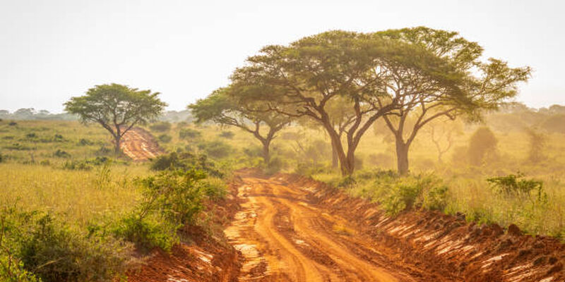 Elegant Ruanda & Uganda Turu Türk Havayolları ile 8 Gece (KGL-EBB)