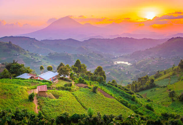 Elegant Ruanda & Uganda Turu Türk Havayolları ile 8 Gece (KGL-EBB)