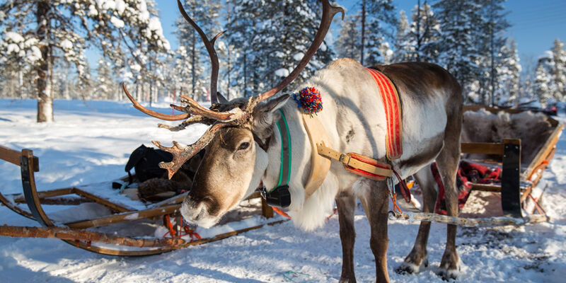 Ankara Çıkışlı Dolu Dolu Lapland Çifte Yılbaşı