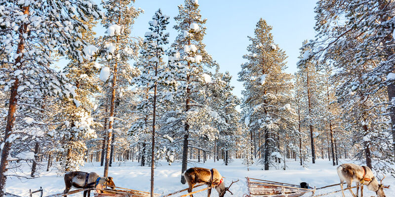 Dolu Dolu Lapland Beyaz Rotalar Çifte Yılbaşı Rotası 