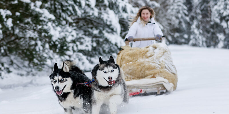Dolu Dolu Lapland Beyaz Rotalar Çifte Yılbaşı Rotası 
