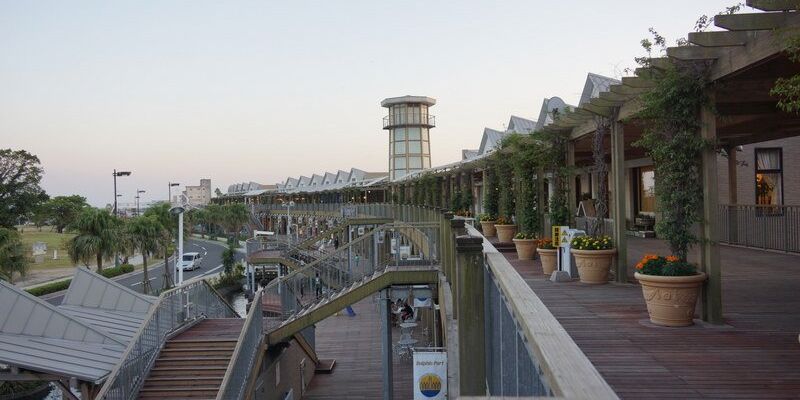 Msc Belissima ile Sakura Zamanı Japonya & Güney Kore