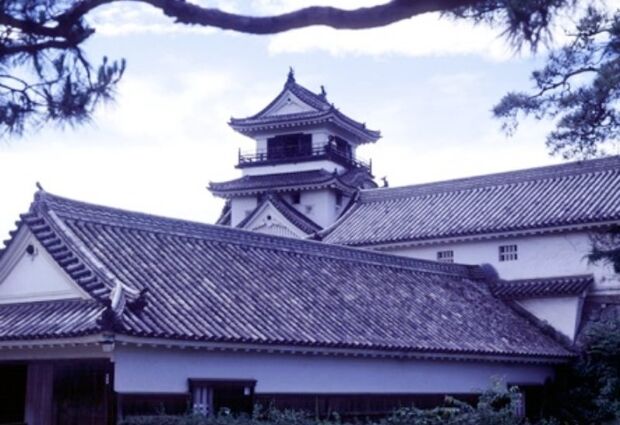 Msc Belissima ile Sakura Zamanı Japonya & Güney Kore