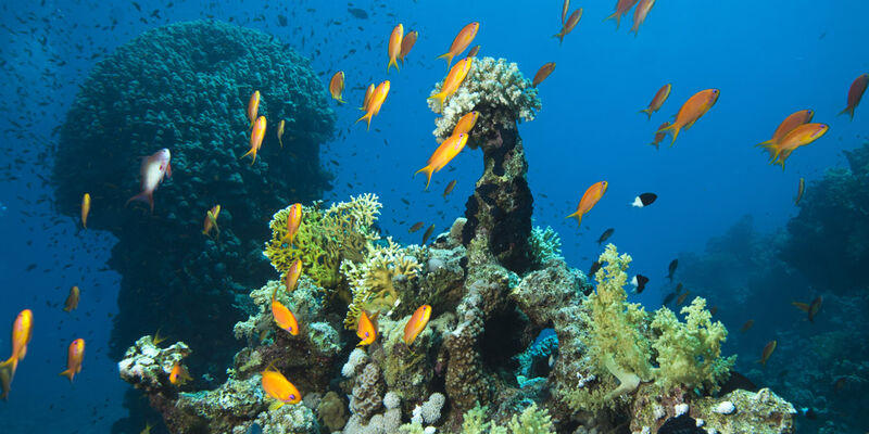 Sharm El Sheikh - Kızıldeniz Rotası (Rixos Otelleri - 3 Gece) 