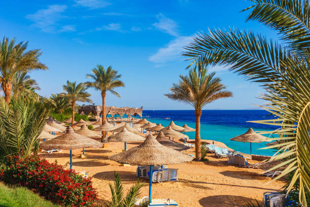 Sharm El Sheikh Turları