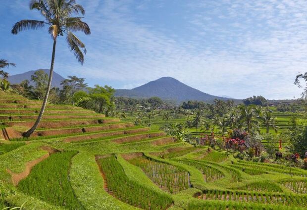 Singapur & Bali Turu Türk Havayolları ile 5 Gece