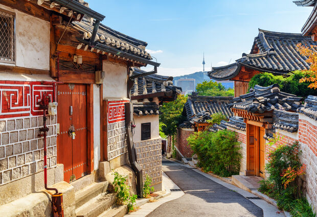 Dolu Dolu Sakura Dönemi Özel Japonya & Kore Turu Mistik Rotalar