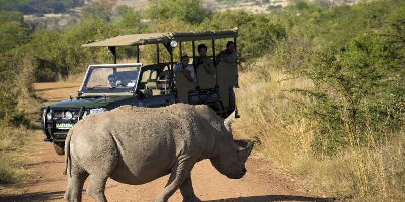 Dolu Dolu Güney Afrika & Botsvana & Victoria Şelaleleri Turu Rotası