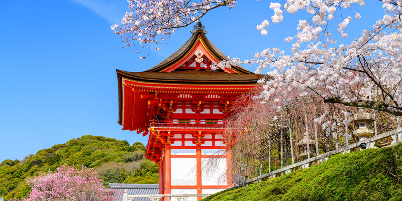 Dolu Dolu Japonya Turu Rotası