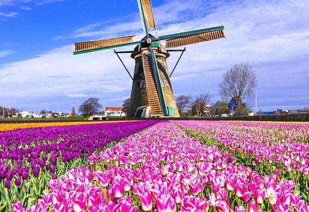 Galatasaray & Ajax Amsterdam Şampiyonlar Ligi Maç Turu Türk Havayolları ile 2 Gece