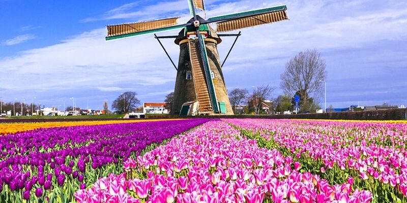 Galatasaray & Ajax Amsterdam Maç Bileti Dahil Şampiyonlar Ligi Maç Turu Türk Havayolları ile 2 Gece