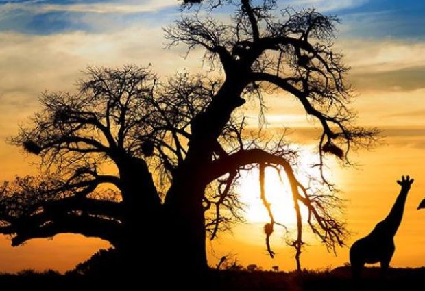 Dolu Dolu Kenya Safari Turu Rotası