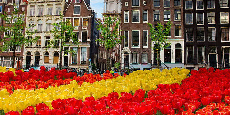 Sömestr Özel Görkemli Amsterdam Renklerin Şehri Turu Türk Havayolları ile 3 Gece 2026