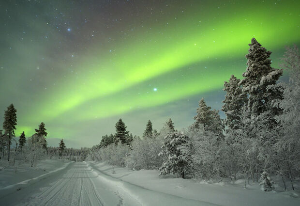 Kraliçe: St. Petersburg Turu - (LED)