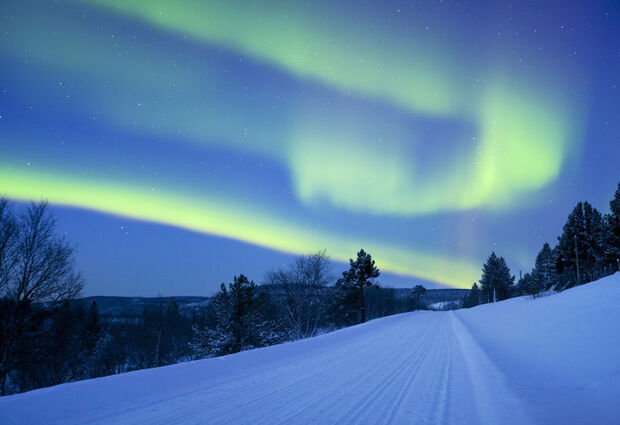 Kraliçe: St. Petersburg Turu - (LED)