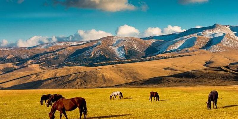 Dolu Dolu Özbekistan Atalarımızın İzinde İpekyolu’nun Kalbi Rotası V2