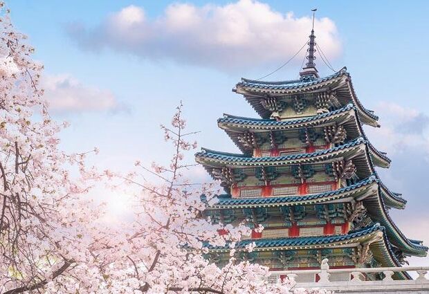 Yılbaşı Özel Dolu Dolu Japonya & Kore Turu Mistik Rotalar