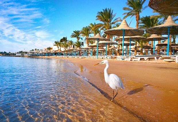 Yılbaşı Özel Dolu Dolu Antik Mısır Turu Rotası