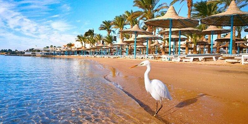 Yılbaşı Özel Antik Mısır Turu Rotası