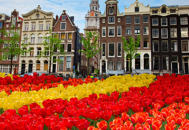 Elegant Benelüx & Paris & Alsace Turu - AJet Havayolları ile - 7 Gece 8 Gün (BSL-CGN)