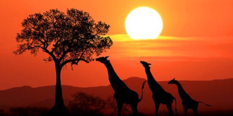 Fırsat Güney Afrika Safari Turu (Tüm Turlar Dahil)